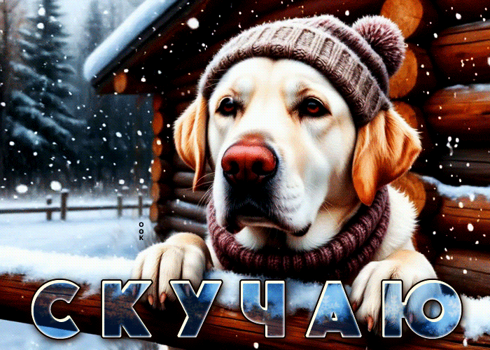 Postcard тихая, уютная гифка скучаю