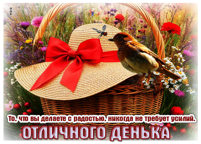 Postcard то, что вы делаете с радостью, никогда не требует усилий