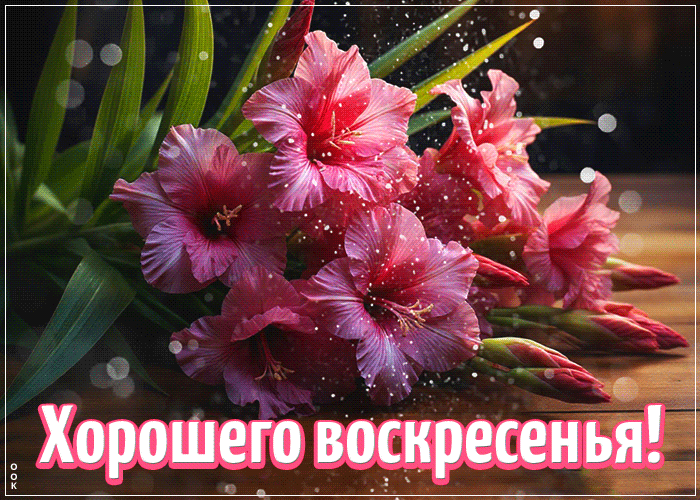 Picture трогательная и нежная осенняя гифка хорошего воскресенья