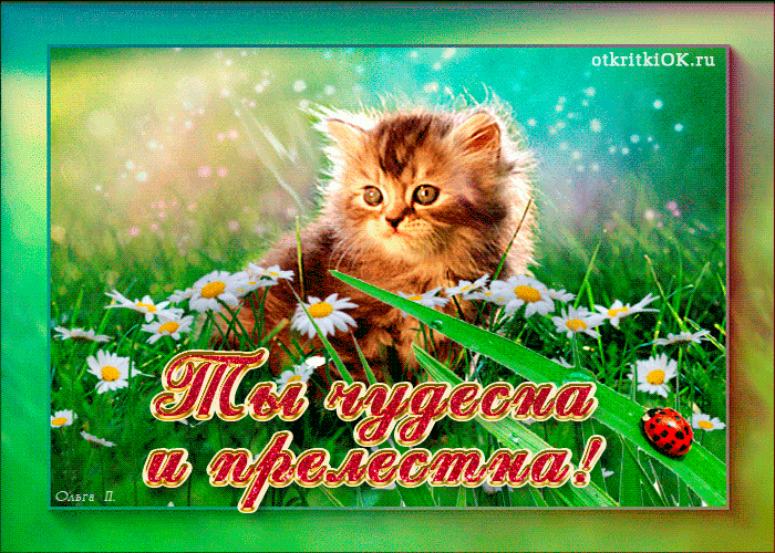 Картинка ты чудесная и прелестная