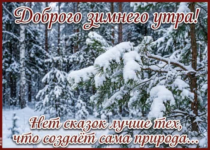 Postcard тёплого настроения тебе с утра!