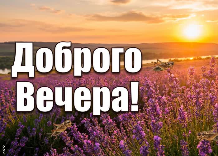 Postcard уютного летнего вечера тебе!