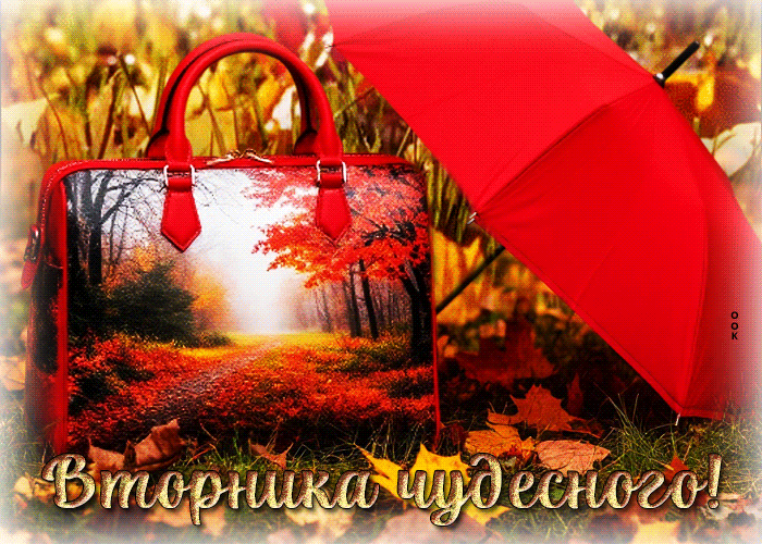 Postcard вдохновляющая осенняя гифка вторника чудесного