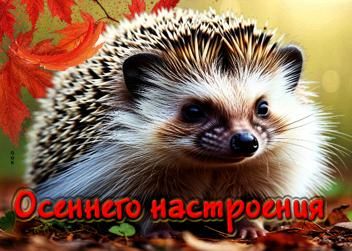 Postcard великолепная осенняя гифка осеннего настроения