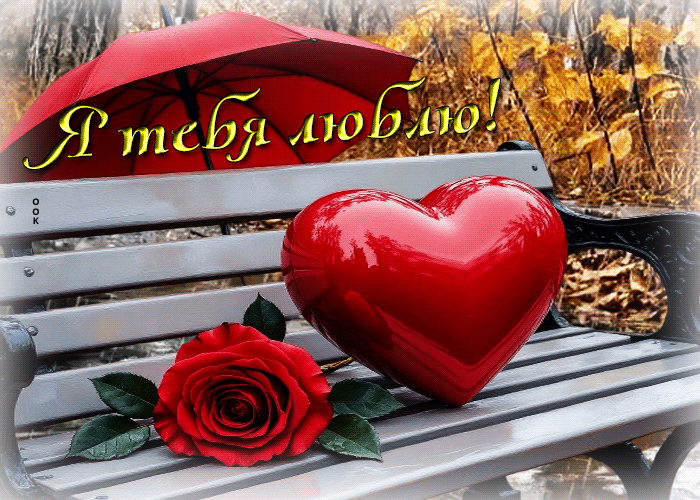 Postcard великолепная осенняя гифка я тебя люблю