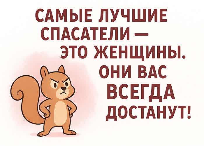 Postcard весёлая картинка с короткой шуткой