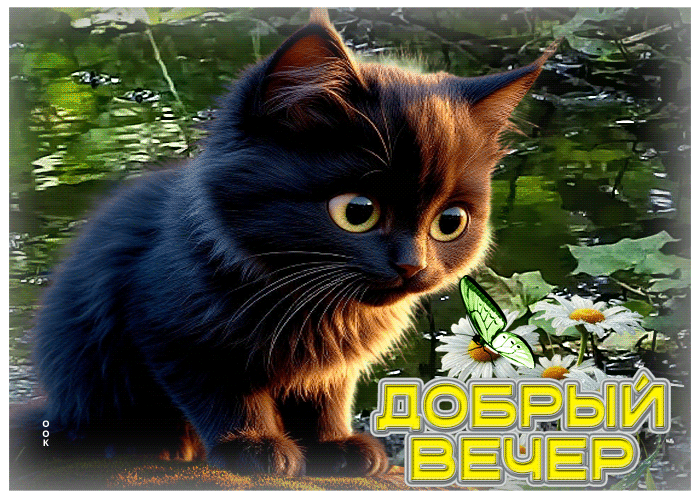 Postcard волшебная летняя гиф-открытка добрый вечер