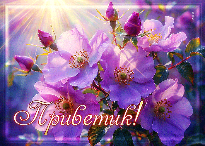 Picture восхитительная гиф-открытка приветик