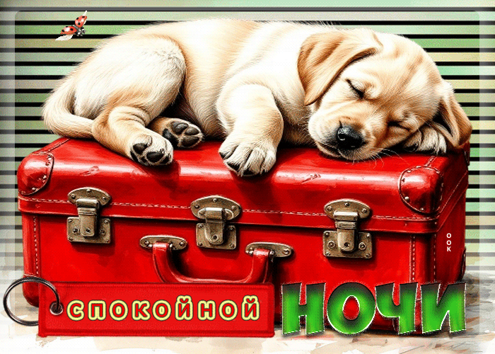 Postcard восхитительная гифка спокойной ночи