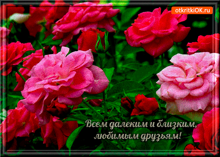 Открытка всем далеким и близким друзьям