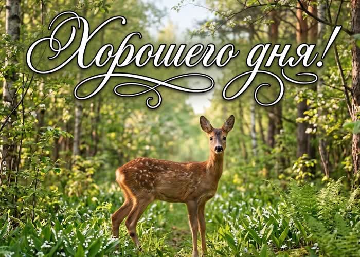 Picture хорошего дня и прекрасных новостей