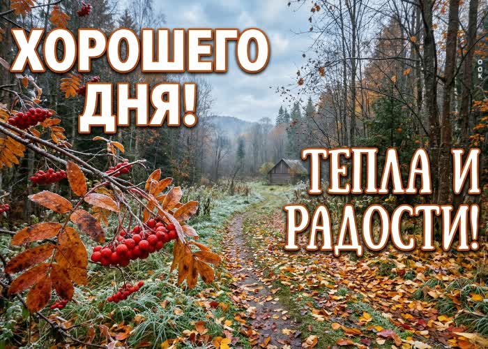Picture хорошего настроения и гармонии на весь день