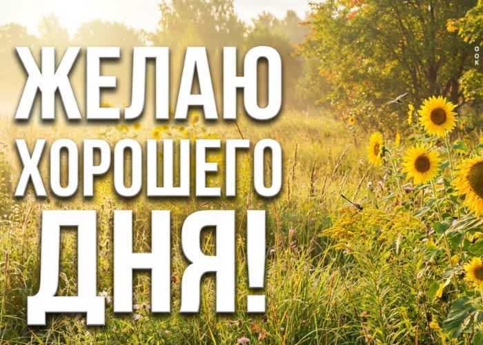 Postcard хорошего настроения и лёгкости во всех делах.