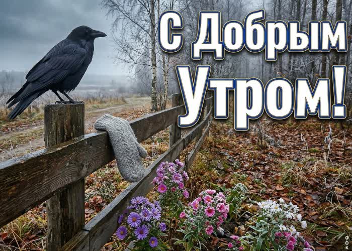 Picture хорошего утра и красивой осени вокруг