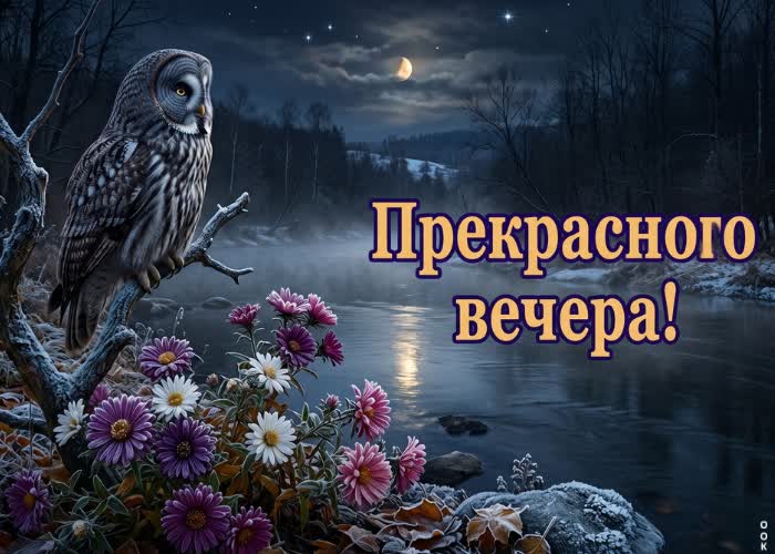 Postcard хорошего вечера и душевной гармонии