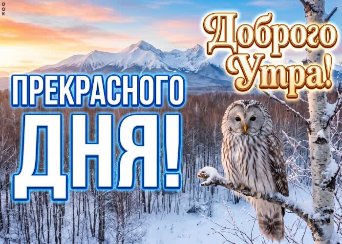 Postcard хорошего зимнего утра! пусть всё сегодня складывается легко и удачно.