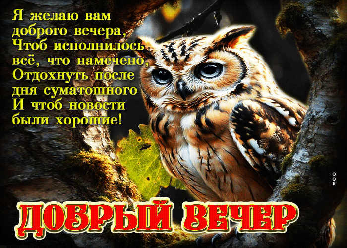 Postcard я желаю вам доброго вечера! чтоб исполнилось все, что намечено