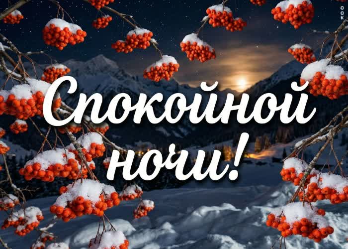 Postcard за окном кружится снег, а впереди ждёт только светлый и спокойный день.