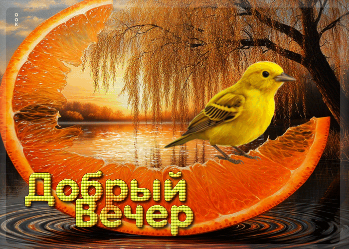 Picture заботливая осенняя гифка добрый вечер