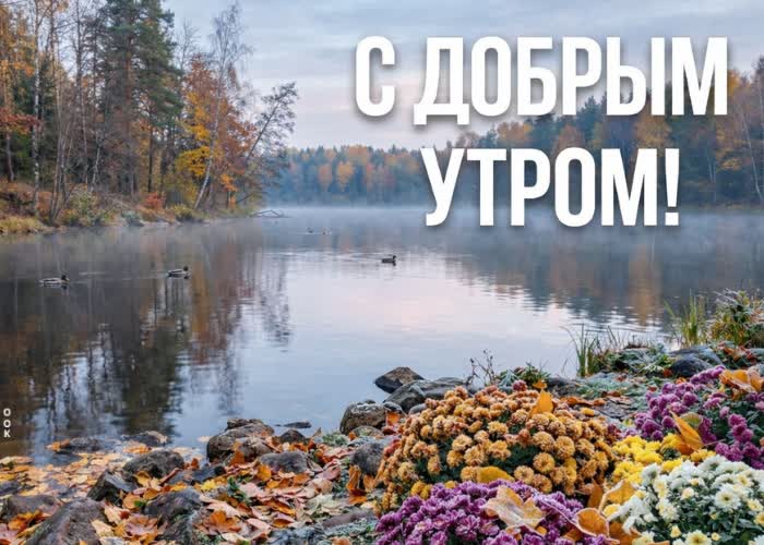 Postcard желаю спокойного утра и счастливых моментов сегодня