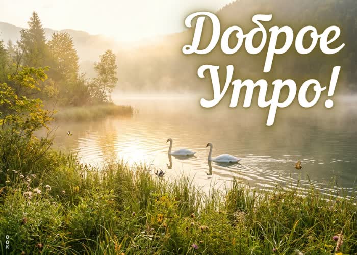 Postcard желаю тебе лёгкого пробуждения, хорошего настроения