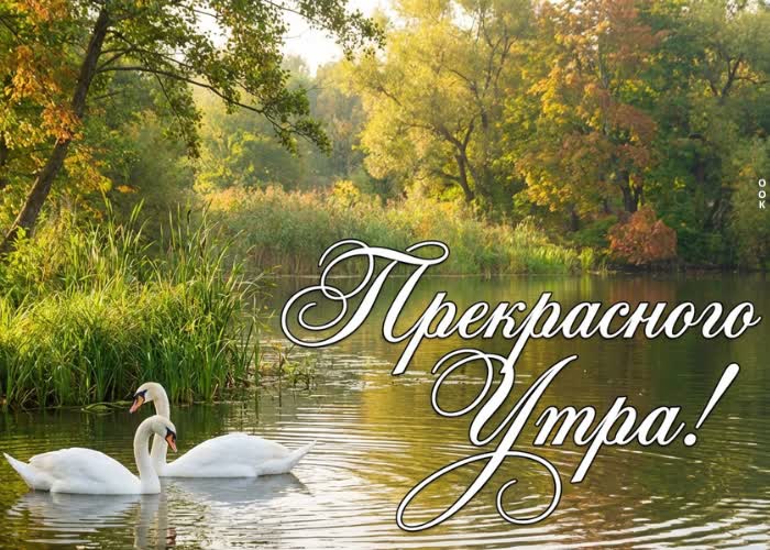 Postcard желаю тебе солнечного настроения