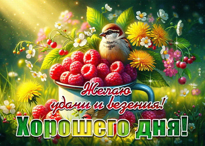 Postcard желаю удачи и везения! хорошего дня