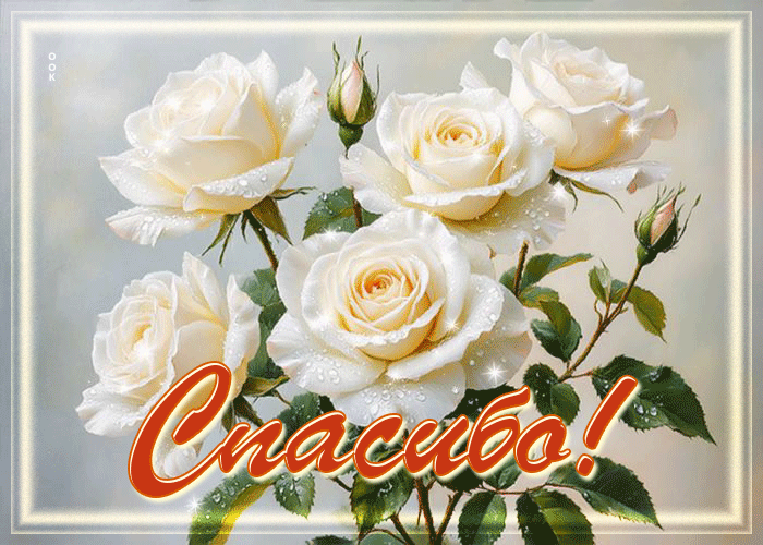 Postcard жемчужная гиф-открытка спасибо