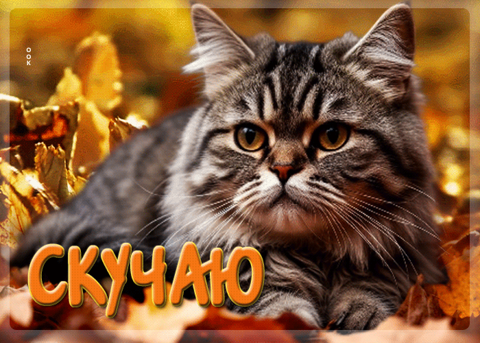 Picture золотистая осенняя гифка скучаю