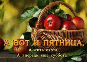 А вот и пятница! И жить охота, а впереди еще суббота