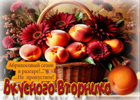 Абрикосовый сезон в разгаре! Не пропустите! Вкусного вторника!