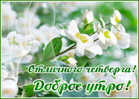 Анимационная картинка доброе утро четверга