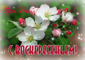 Анимационная картинка с с воскресеньем