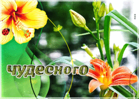 Анимационная картинка с вторником