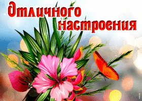 Анимационная открытка отличного настроения с бабочкой