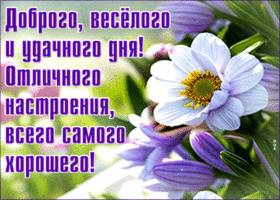 Беззаботная весенняя гиф-открытка Доброго и удачного дня