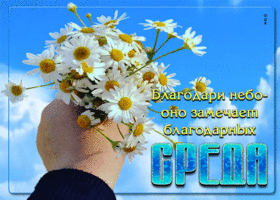 Благодари небо - оно замечает благодарных! Среда