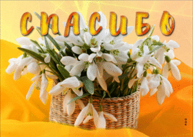 Благодарная и нежная гиф-открытка Спасибо