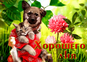 Блестящая картинка хорошего дня, с собачкой и котиком