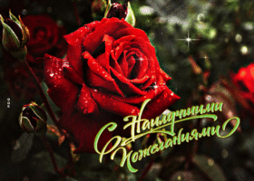 Блестящая открытка с розой С наилучшими пожеланиями!