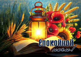 Бодрая и энергичная летняя гиф-открытка Спокойной ночи
