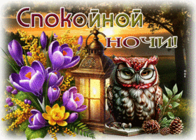 Бодрая и ласковая весенняя гиф-открытка Спокойной ночи