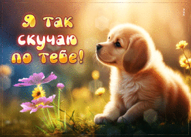 Бодрая и легкая гиф-открытка Я так скучаю по тебе
