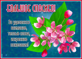 Большое спасибо за уделенное внимание, теплые слова