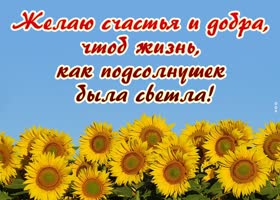 Будьте счастливы сегодня