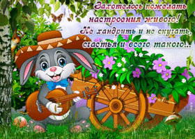 Чудесного весеннего настроения