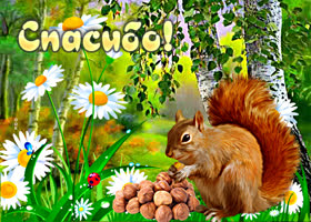 Чудесная картинка Спасибо! С белкой