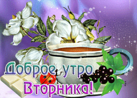 Чудесная открытка Доброе утро Вторника!