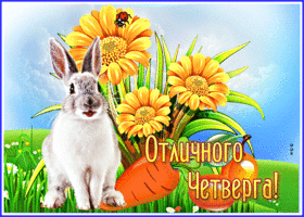 Чудесная открытка с зайчиком Отличного четверга!