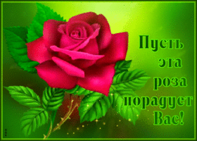 Чудесно-радужная гиф-открытка Пусть эта роза порадует вас